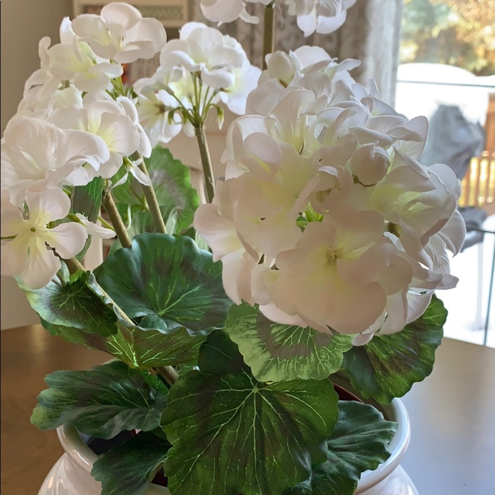 Meet your Posher, Pam